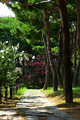 ein-parkwald-voller-blumen.jpg?b=1&s=170x170&k=20&c=NJzKf-YiEwGT5vH4sMB3jJifpzXbxPEZigHVdaRiuPg=