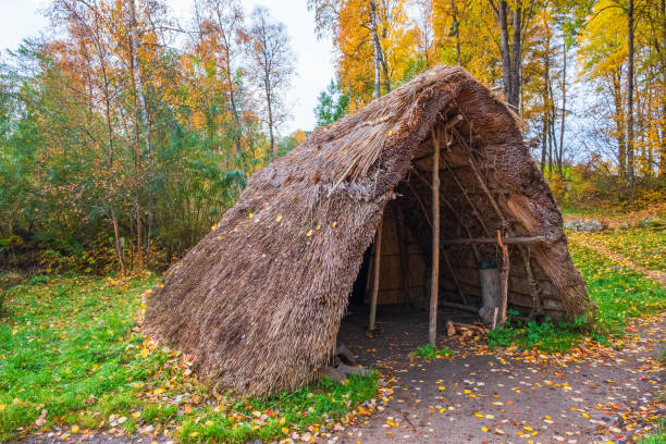 Grass hut in an autumn landscape Grass hut in an autumn landscape thatched roof hut straw grass hut stock pictures, royalty-free photos & images