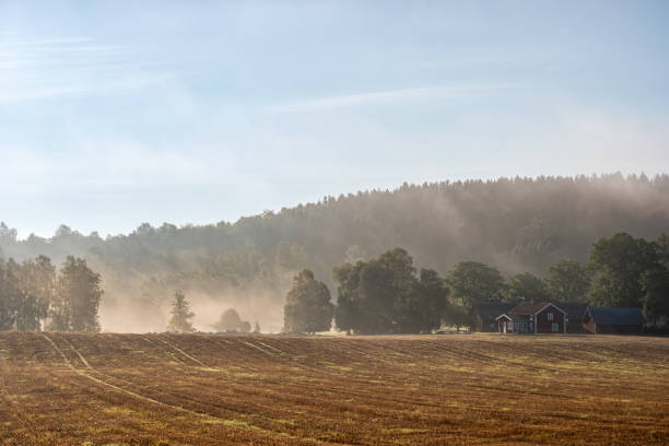 Aerial view of Farm scene at dawn at Humber Station Road, Caledon, Ontario, Canada.