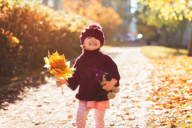 赤いセーターと黄色のカエデの葉の花束とおもちゃの秋の通りで笑うベレーの小さな女の子 - child little girls smiling autumn ストックフォトと画像