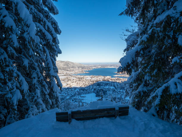 inverno al lago tegernsee - lake tegernsee foto e immagini stock