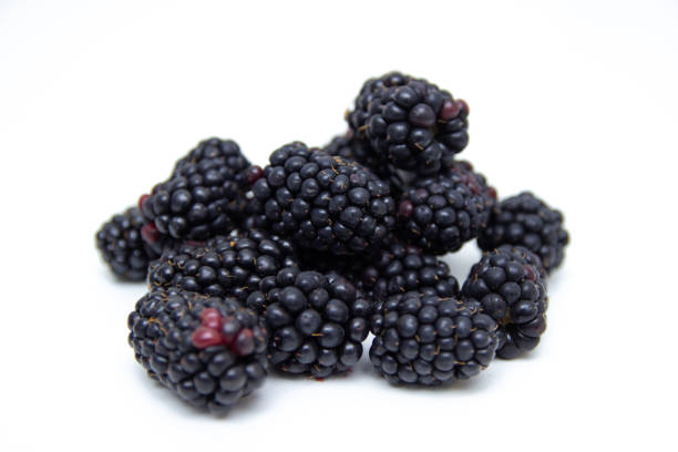 istock Boysenberry  isolated on a white background. 1168569174