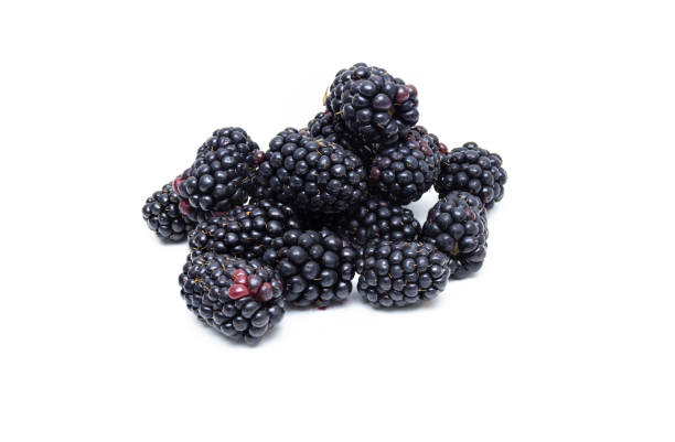 istock Boysenberry  isolated on a white background. 1168569179