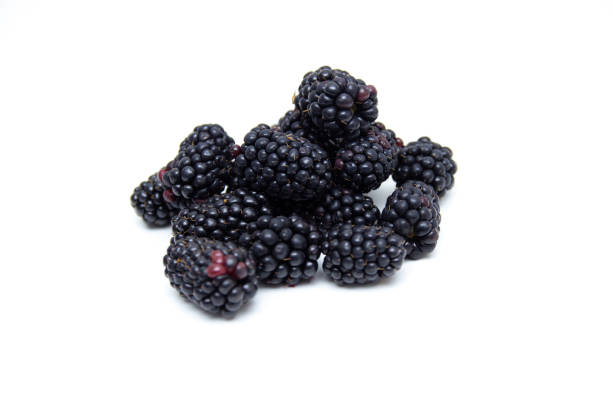istock Boysenberry  isolated on a white background. 1168569269