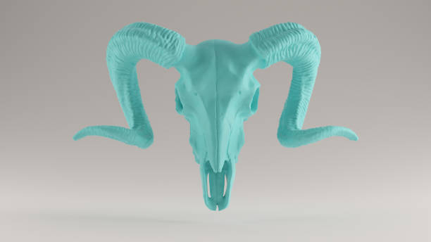 Gulf Blue Turquoise Ram Skull Front View Gulf Blue Turquoise Ram Skull Front View 3d illustration satan goat stock pictures, royalty-free photos & images