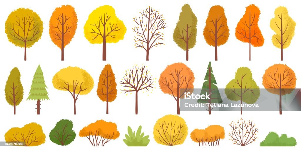 노란 가을 나무입니다 다채로운 정원 나무 가을 정원 부시 와 가을 시즌 나무 잎 벡터 일러스트 세트 가을에 대한 스톡 벡터 아트 및  기타 이미지 - Istock