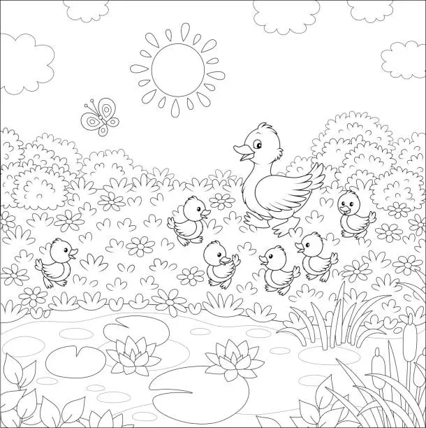 Vector illustration of Duck and ducklings