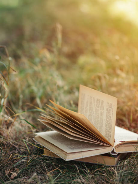 istock The old book lies on the grass in the Park 1168570708