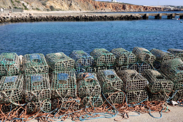istock Lobster traps on the harbour wall in Rosso Do Veiga 1168579523