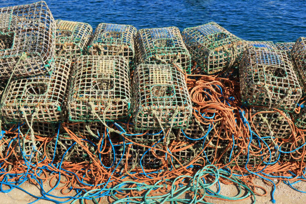 istock A stack of Lobster traps and colourful ropes 1168579538