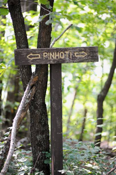 istock Pinhoti hiking trail sign 1168579723