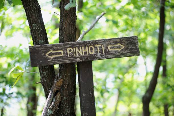 istock Pinhoti hiking trail sign 1168579878