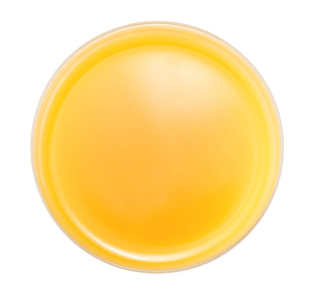 istock Orange juice glass, Citrus fruit drink white background 1168580518