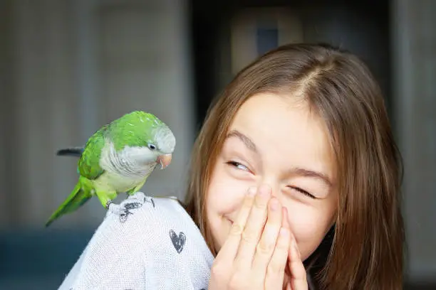 Cute smiling girl playing with her pet green Monk Parakeet parrot. who is sitting on her shoulder. Quaker parrot bird owner. Exotic pet.