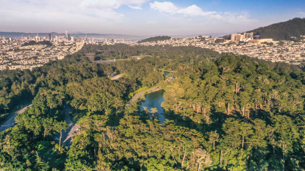 aaerial вид на парк золотые ворота и сан-франциско скайлайн - golden gate park стоковые фото и изображения