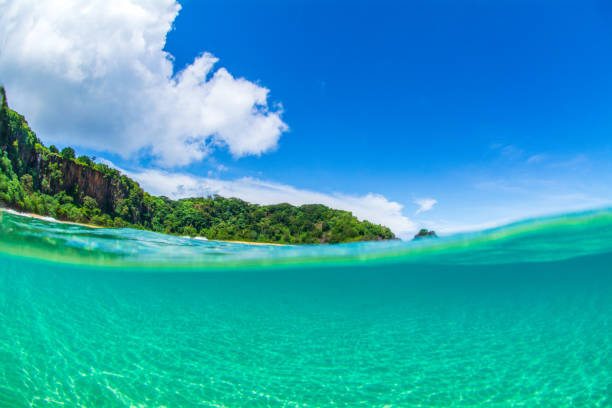 istock Paradise in Fernando de Noronha Brazil 1168585589