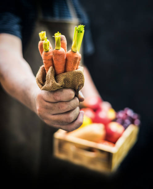 Autumn and Fall season. Harvest cornucopia and Thanksgiving day concept with fruit and vegetable.