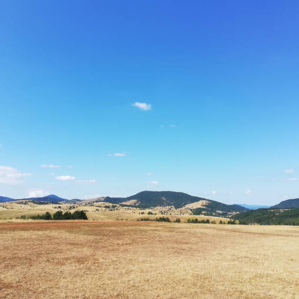 istock Wide plain on Zlatibor mountain - Serbia 1168590087