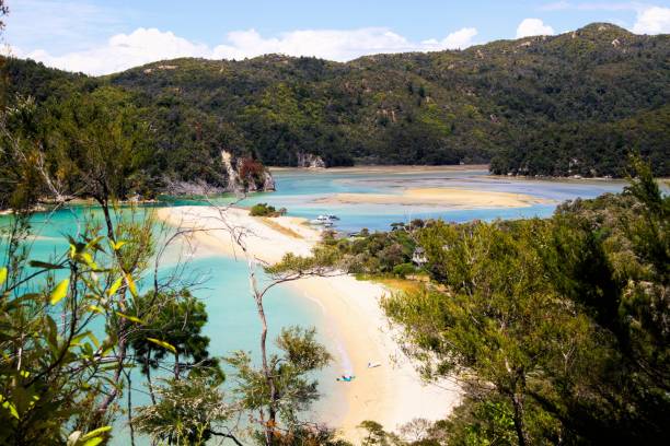 istock View beyond tree branches on bay with white sandbank in turquoise water and green mountains background 1168593810