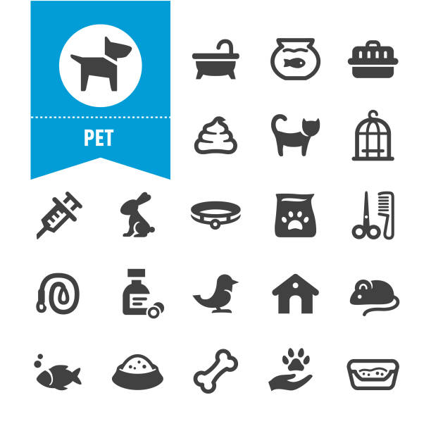 illustrazioni stock, clip art, cartoni animati e icone di tendenza di icone animali domestici - serie speciale - dog animal bone dog bone dog food
