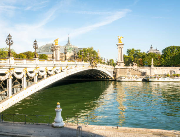 istock Scenic Bridge in Paris, France 1168601365