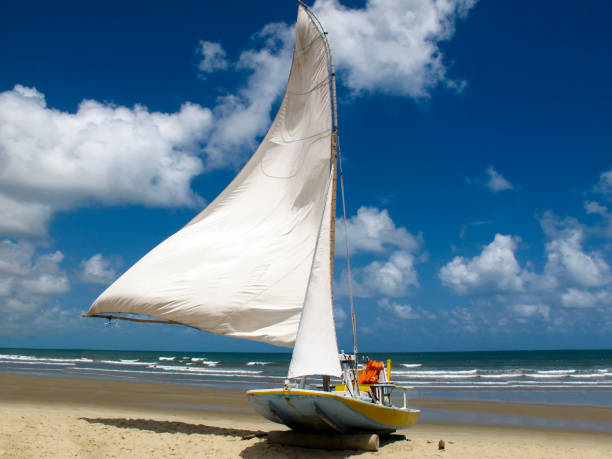 istock Sailing boat in Natal northeastern Brazil-Genipabu Beach 1168602619