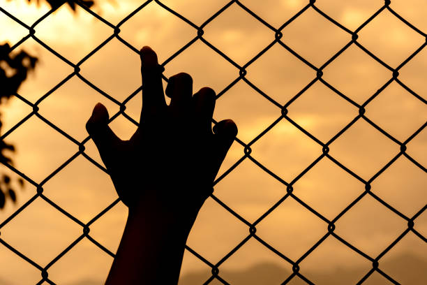 silhouette hand holding on chain link fence stock photo