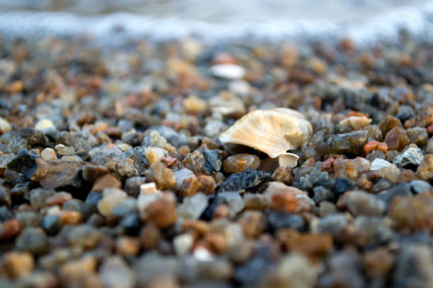 The small pebble macro shot. Small stones background.