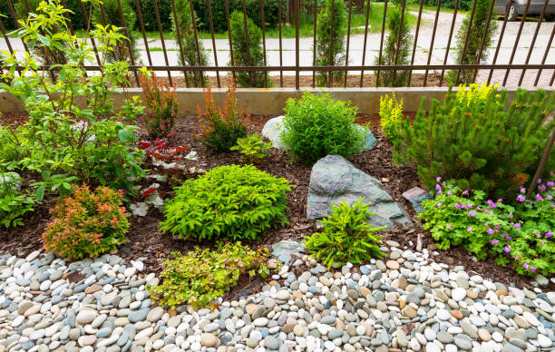 istock Landscaping in home garden 1168605017