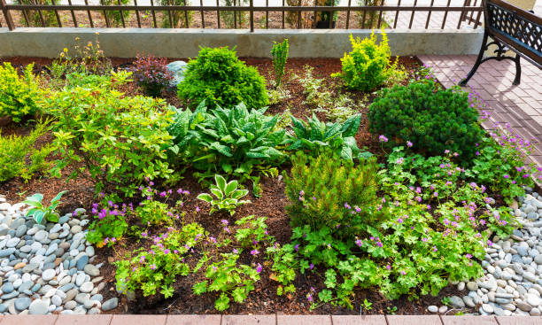 istock Landscaping in home garden 1168605038