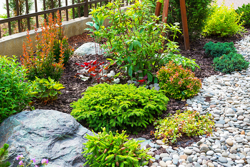 Landscaping in home garden. Beautiful natural landscape design with flower beds in summer. Scenic view of landscaped part with plants and stones in yard or backyard of residential house.