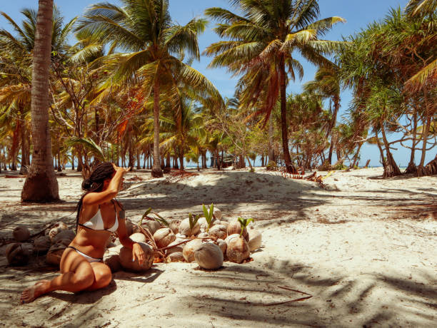 istock coconut shells at the palm tree jungle in Onok island in Palawan 1168605214