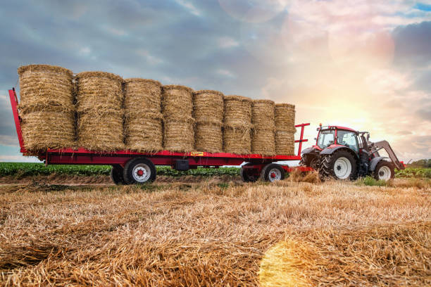 istock tractor and its trailer for harvesting straw bales 1168605394