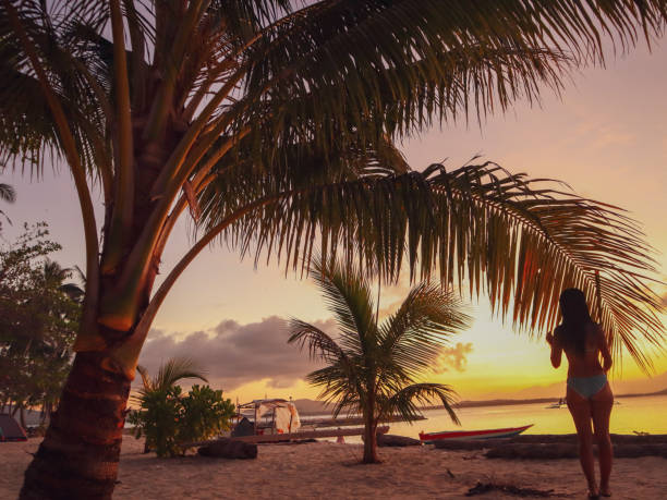 istock Girl watching sunset between palm trees in Balabac in Palawan 1168606138