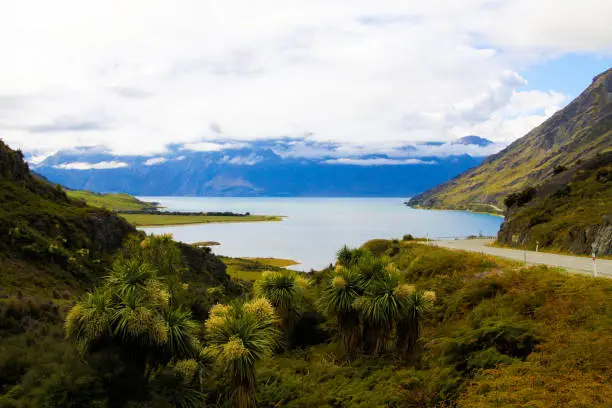 Photo of View over green grass and plants on lake with high rugged mountains background. Depp clouds hanging in mountain peak