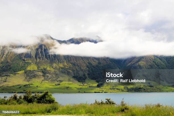 View Over Green Grass And Plants On Lake With High Rugged Mountains Background Depp Clouds Hanging In Mountain Peak Stock Photo - Download Image Now
