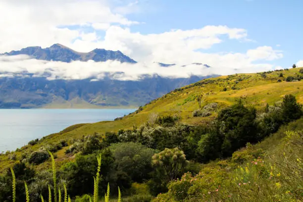 Photo of View over green grass and plants on lake with high rugged mountains background. Depp clouds hanging in mountain peak