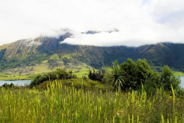 Photo of View over green grass and plants on lake with high rugged mountains background. Depp clouds hanging in mountain peak