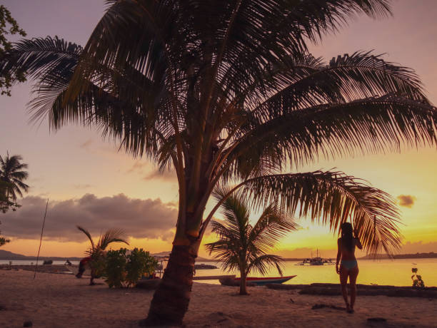 istock Girl watching sunset between palm trees in Balabac in Palawan 1168606736