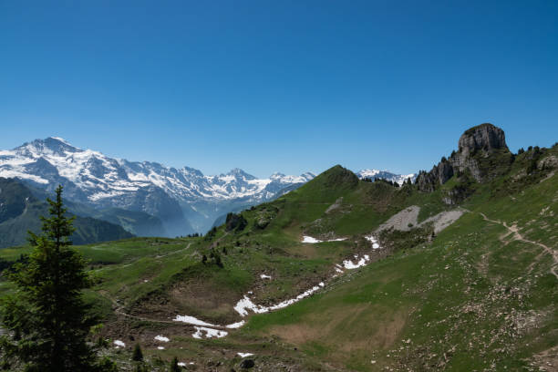 istock Schynige Platte in Summer 1168607426