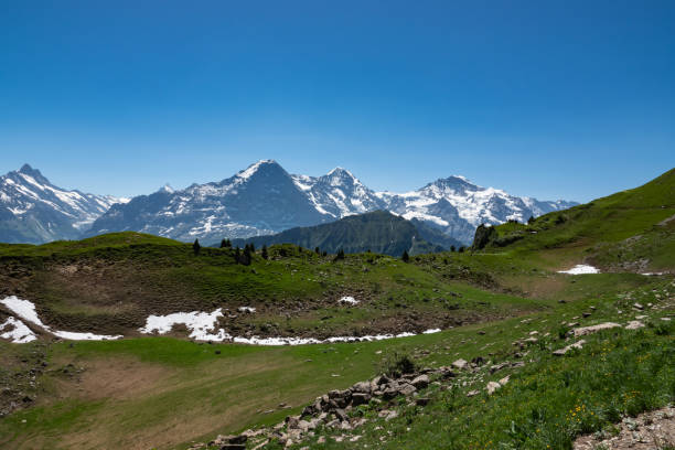 istock Schynige Platte in Summer 1168607445
