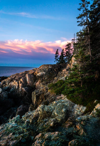 istock Acadia National Park 1168607536