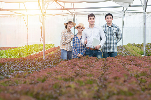 Portrait of group of young entrepreneur asian business farmer man and woman in greenhouse hydroponic organic farm, Small business entrepreneur and organic vegetable farm and healthy food concept