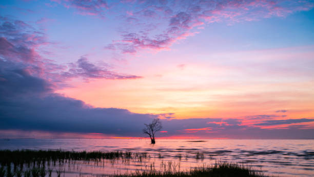 istock Colourful sky with lonely tree in lake at Pak pra 1168608863