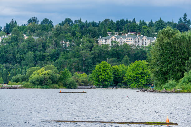 istock Renton Lakeside Home 6 1168609161