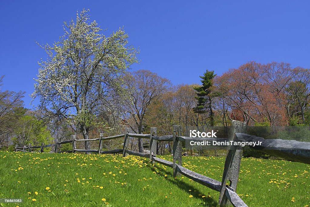 Spring Scenic Spring scenic in Gloucseter Massachusetts Color Image Stock Photo