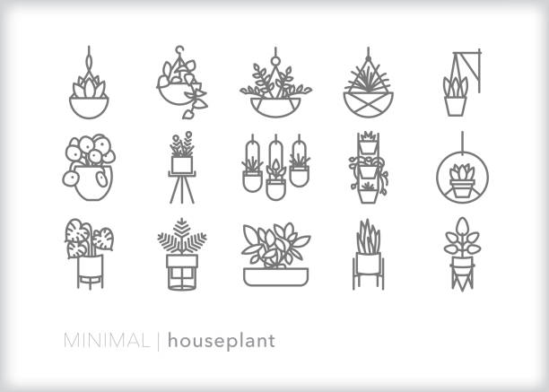 ilustrações de stock, clip art, desenhos animados e ícones de houseplant home decor line icon set - hanging basket