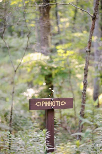istock Pinhoti trail sign 1168611789