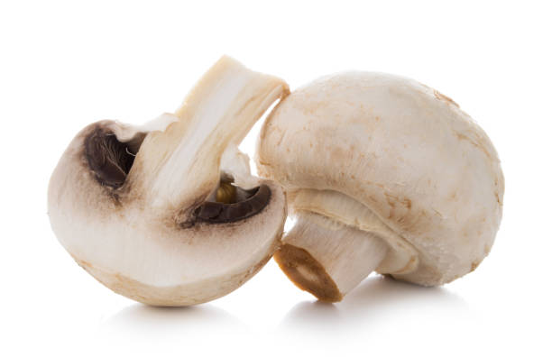 istock Two mashrooms whole and sliced champignons isolated on white background 1168612860