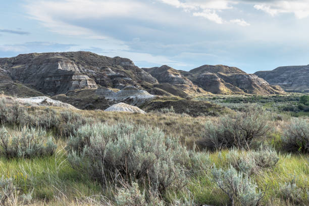 istock Badlands in the Red Deer River Valley at Dinosaur Provincial Park, Alberta, Canada 1168614072